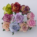 WOC 50 2Tone Open Roses 1 in