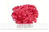 Pretty Pink Posh 6mm Raspberry cupped
